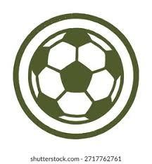 2025 赛季回顾：巴尔的摩金莺凭借单季 220 支本垒打，夺得美联最具爆发力球队奖